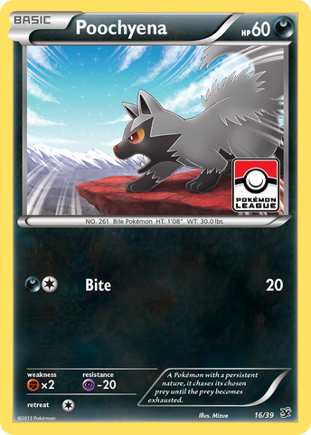 Poochyena (16/39) [XY: Kalos Starter Set]